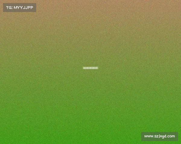 国家级散打赛事有哪些