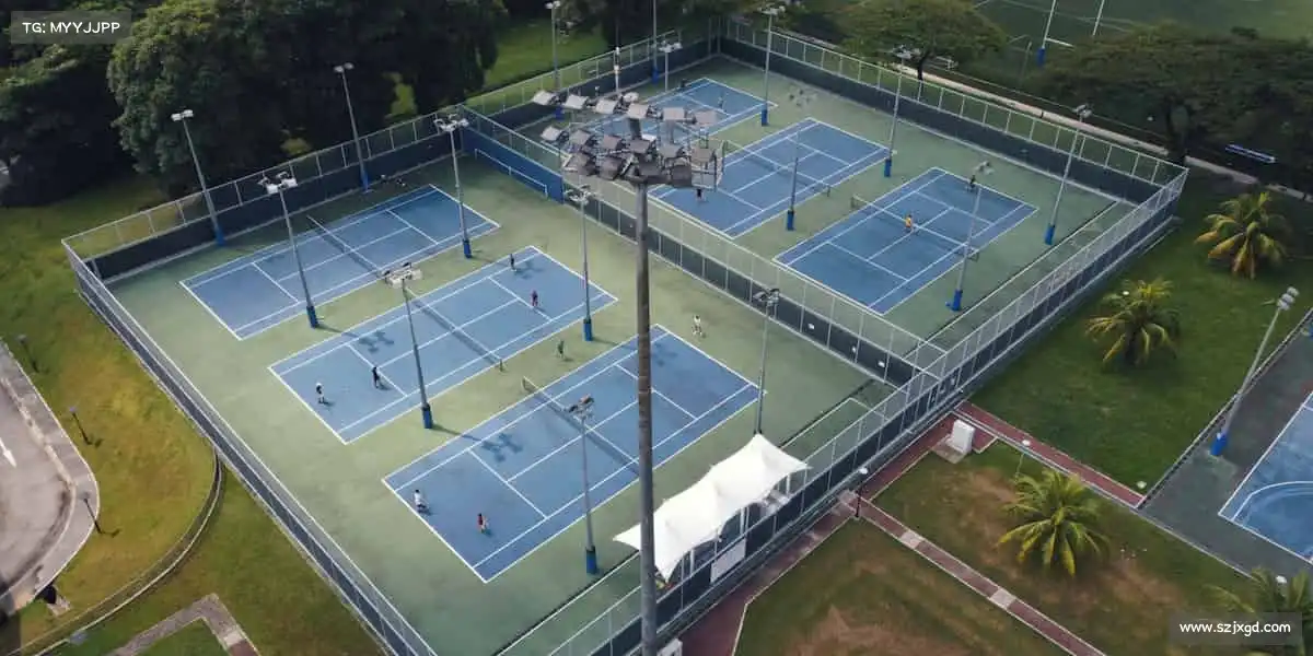 赌狗——以激情为帆，向无限可能冲刺！✨